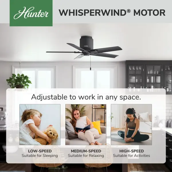 The Ceiling Fans by Hunter - Image 32