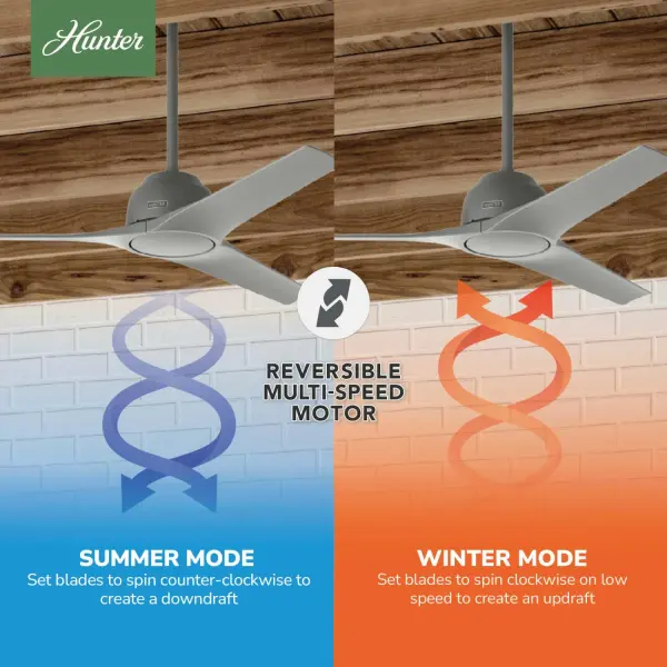 The Ceiling Fans by Hunter - Image 13