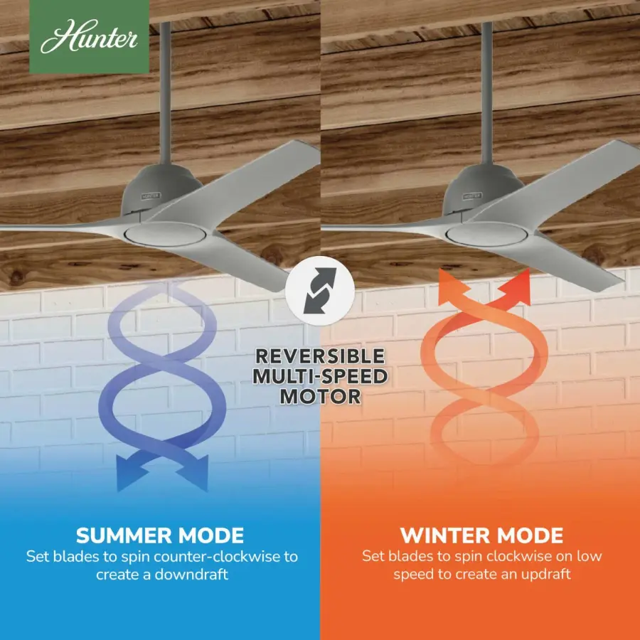 The Ceiling Fans by Hunter - Image 13