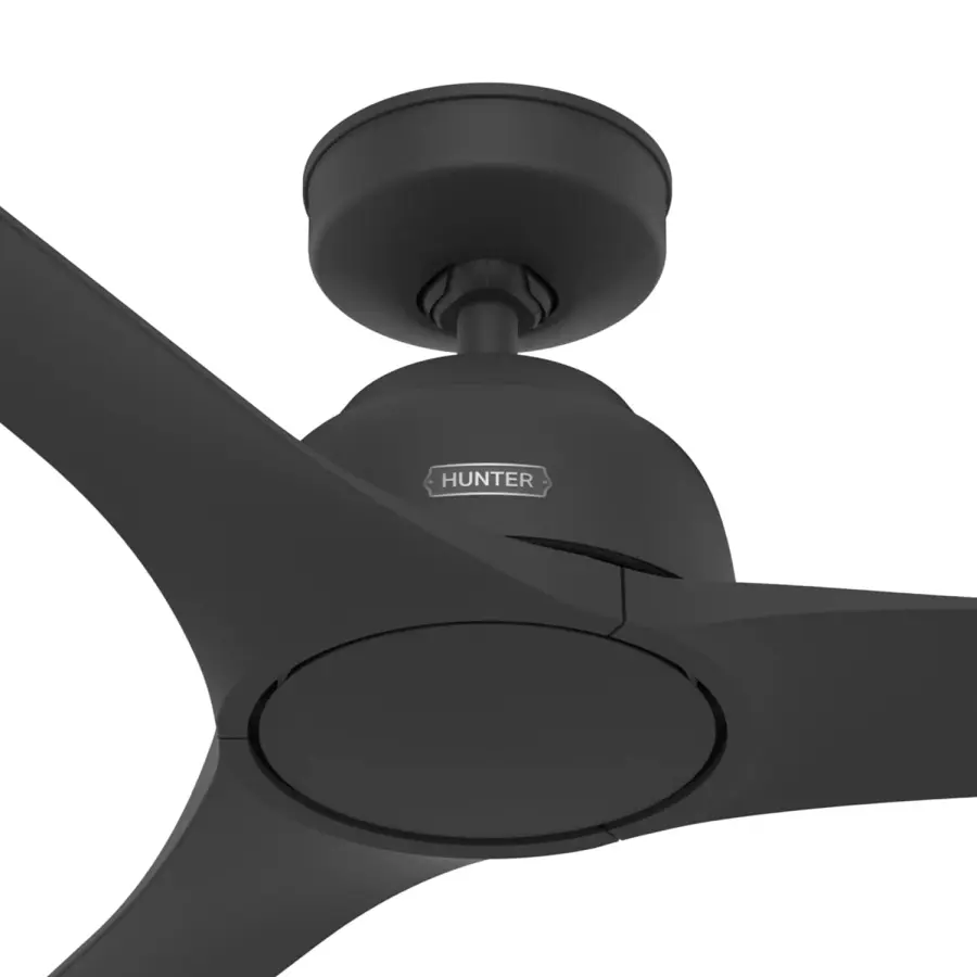 The Ceiling Fans by Hunter - Image 26
