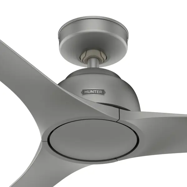 The Ceiling Fans by Hunter - Image 27