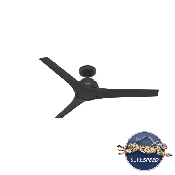 The Ceiling Fans by Hunter - Image 30