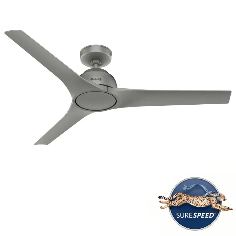 The Ceiling Fans by Hunter - Image 31