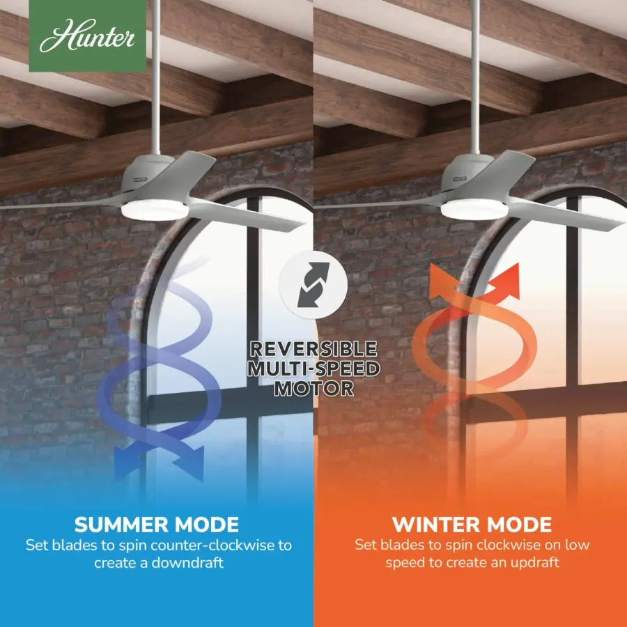 The Ceiling Fans by Hunter - Image 12