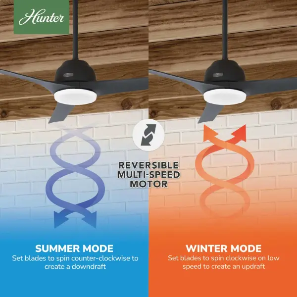 The Ceiling Fans by Hunter - Image 13