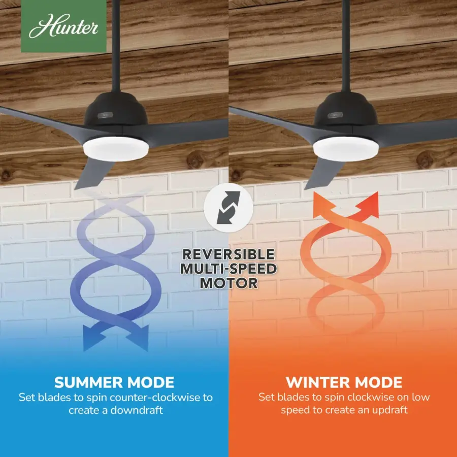 The Ceiling Fans by Hunter - Image 13