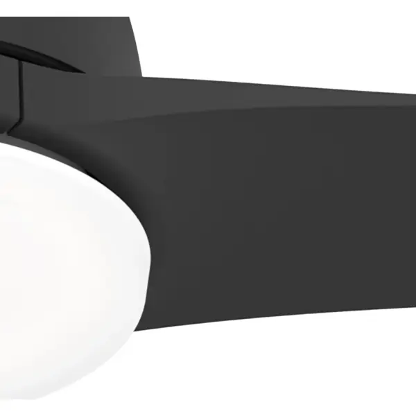 The Ceiling Fans by Hunter - Image 23