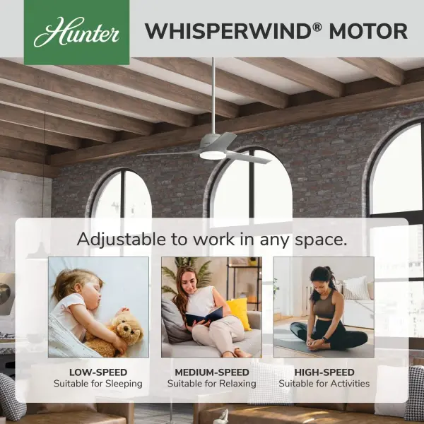 The Ceiling Fans by Hunter - Image 34