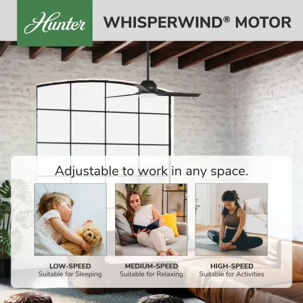 The Ceiling Fans by Hunter - Image 35