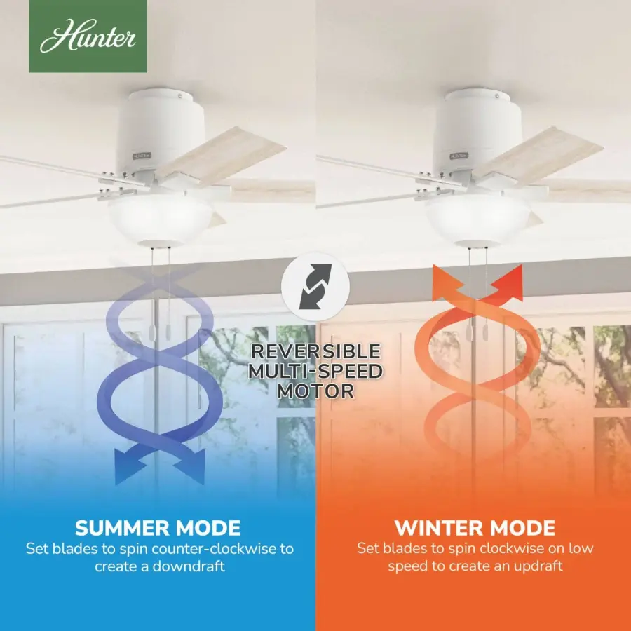 The Ceiling Fans by Hunter - Image 12