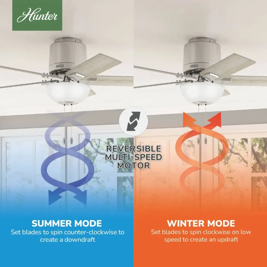 The Ceiling Fans by Hunter - Image 13