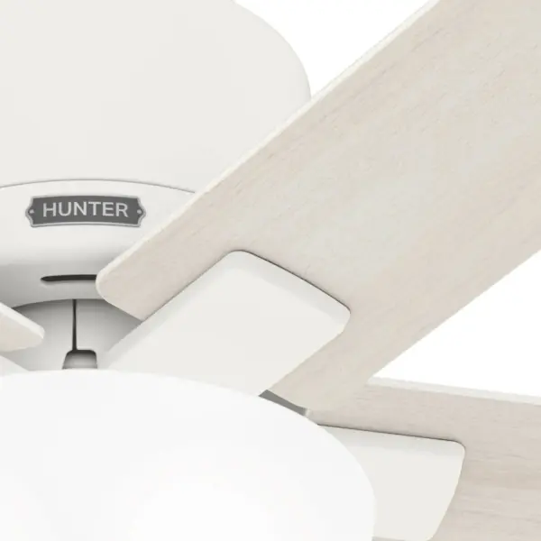 The Ceiling Fans by Hunter - Image 18