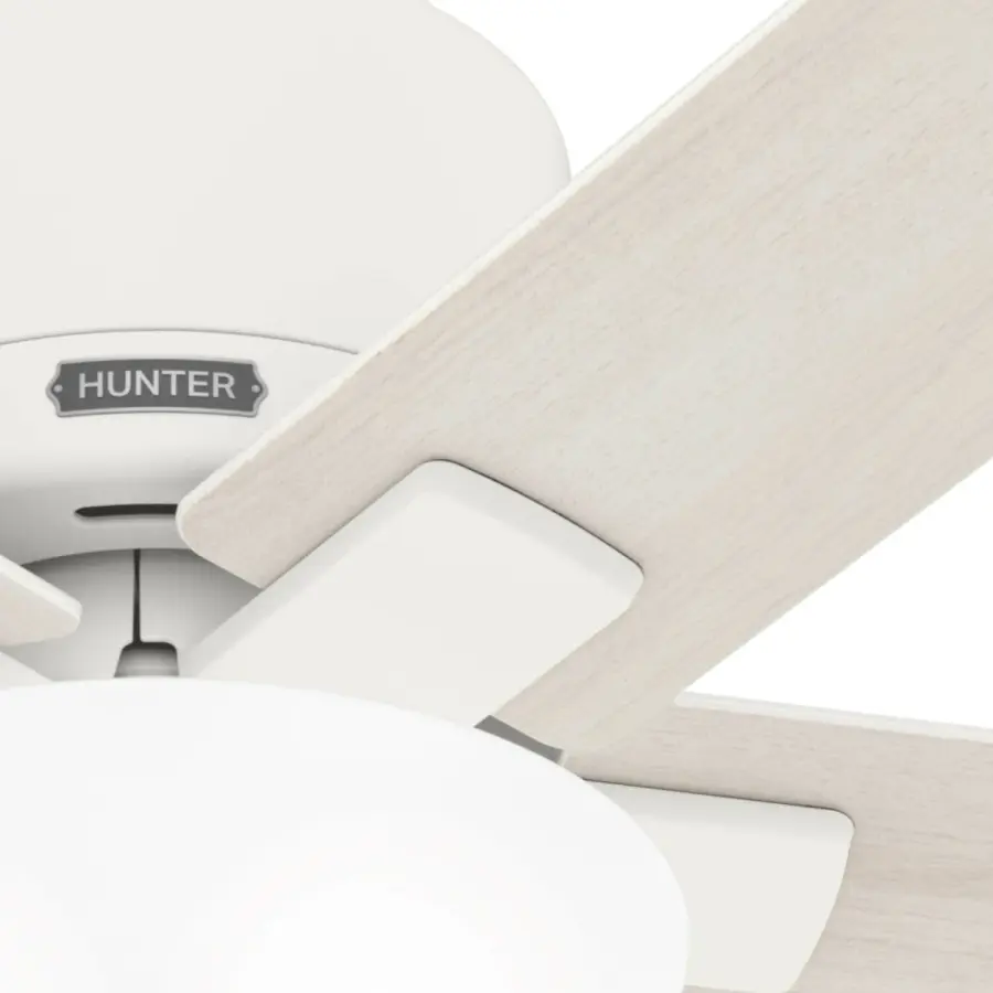 The Ceiling Fans by Hunter - Image 18