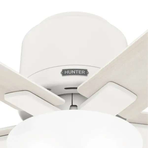 The Ceiling Fans by Hunter - Image 20