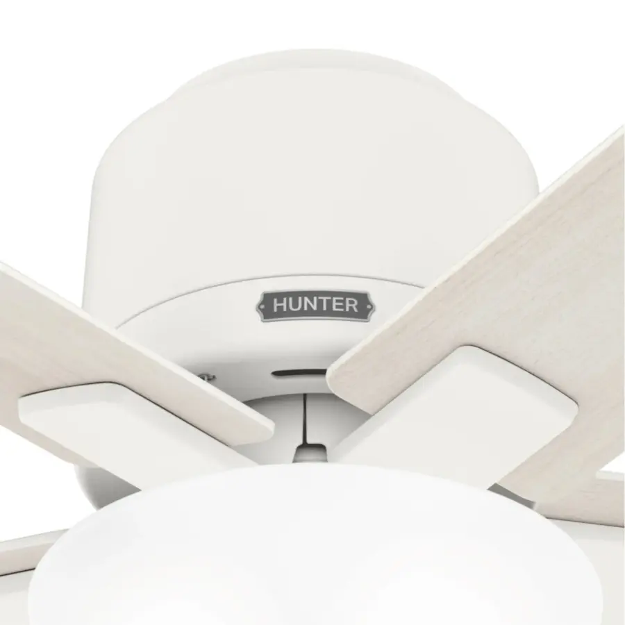 The Ceiling Fans by Hunter - Image 20