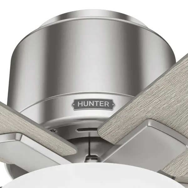The Ceiling Fans by Hunter - Image 23