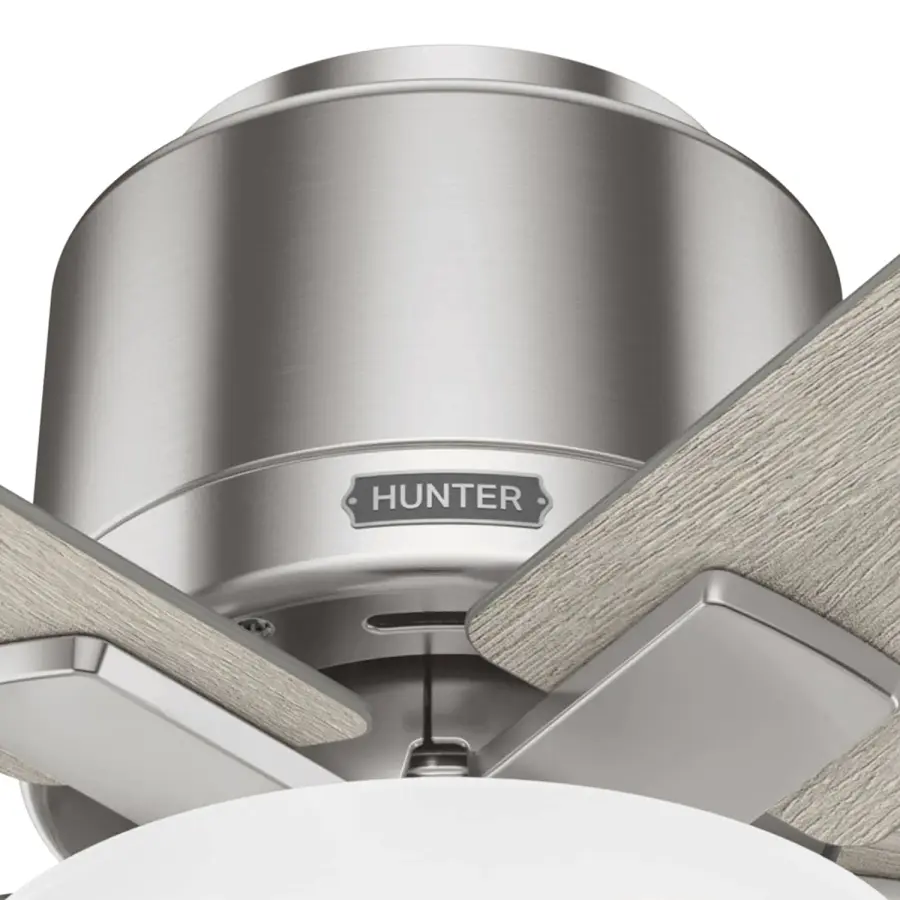 The Ceiling Fans by Hunter - Image 23