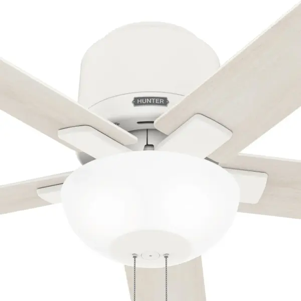 The Ceiling Fans by Hunter - Image 24
