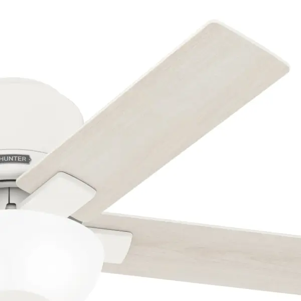 The Ceiling Fans by Hunter - Image 26