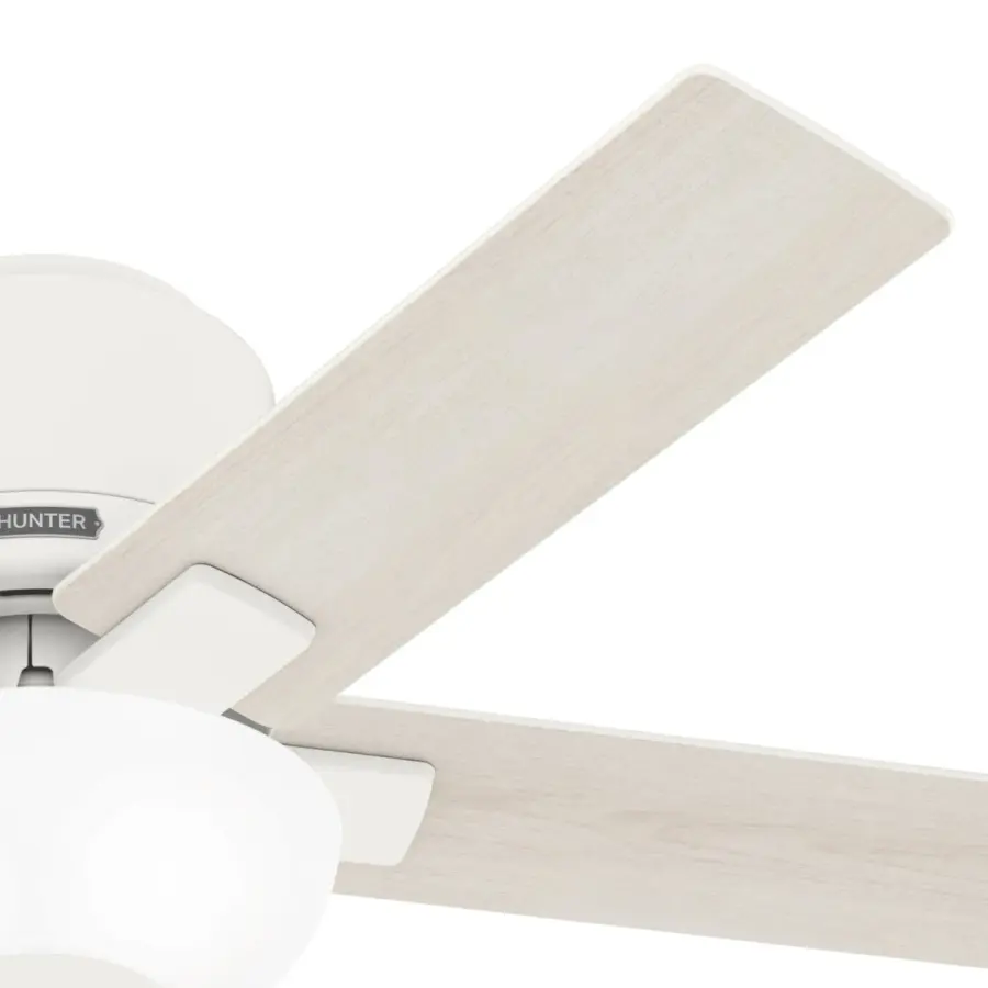 The Ceiling Fans by Hunter - Image 26