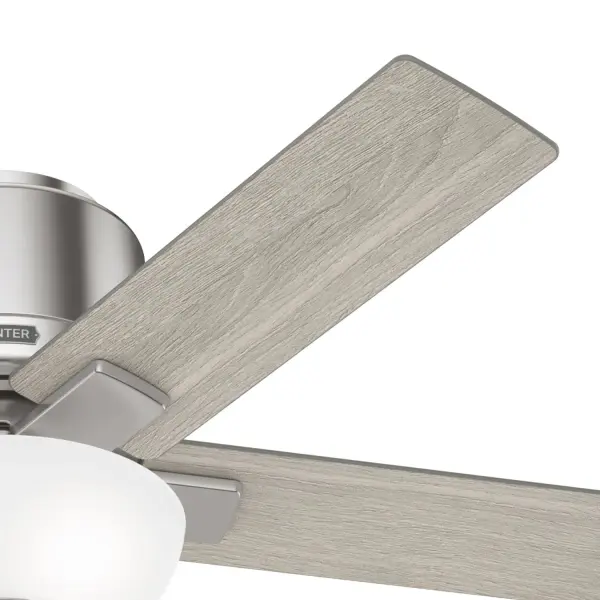 The Ceiling Fans by Hunter - Image 27