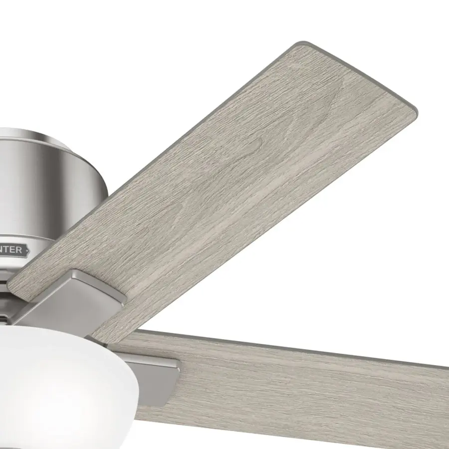 The Ceiling Fans by Hunter - Image 27