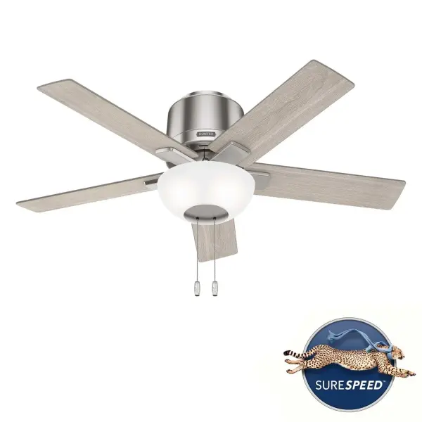 The Ceiling Fans by Hunter - Image 29
