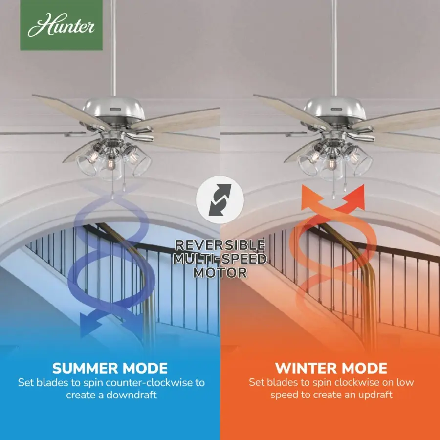 Dondra with 3 Lights 60 inch - Image 19