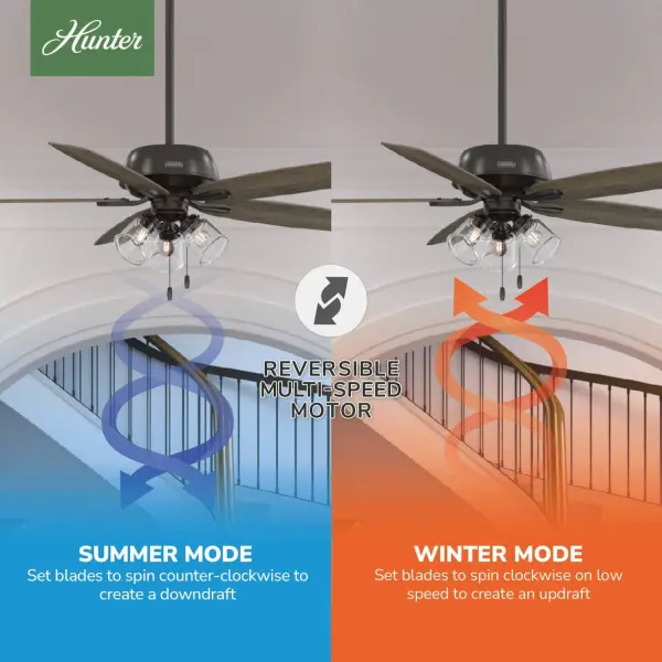 Dondra with 3 Lights 60 inch - Image 20