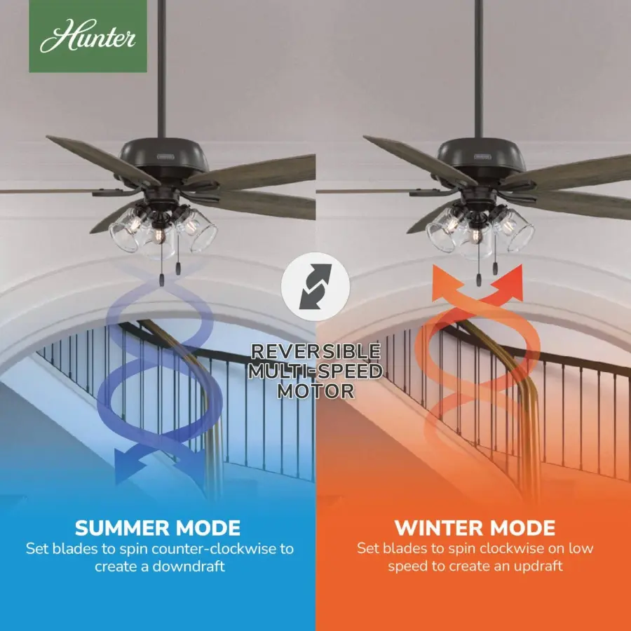 Dondra with 3 Lights 60 inch - Image 20