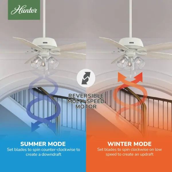 Dondra with 3 Lights 60 inch - Image 21