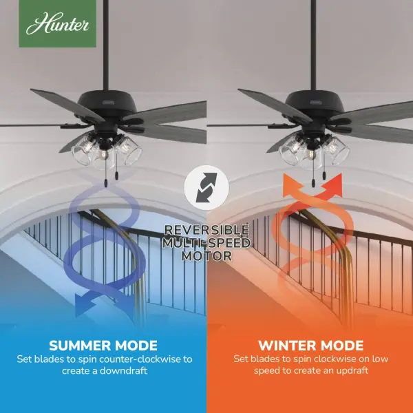 Dondra with 3 Lights 60 inch - Image 22