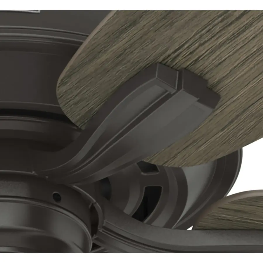 Dondra with 3 Lights 60 inch - Image 36