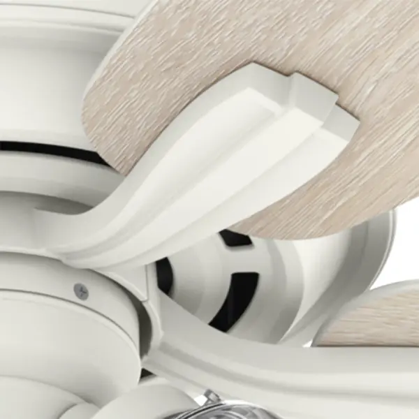 Dondra with 3 Lights 60 inch - Image 37