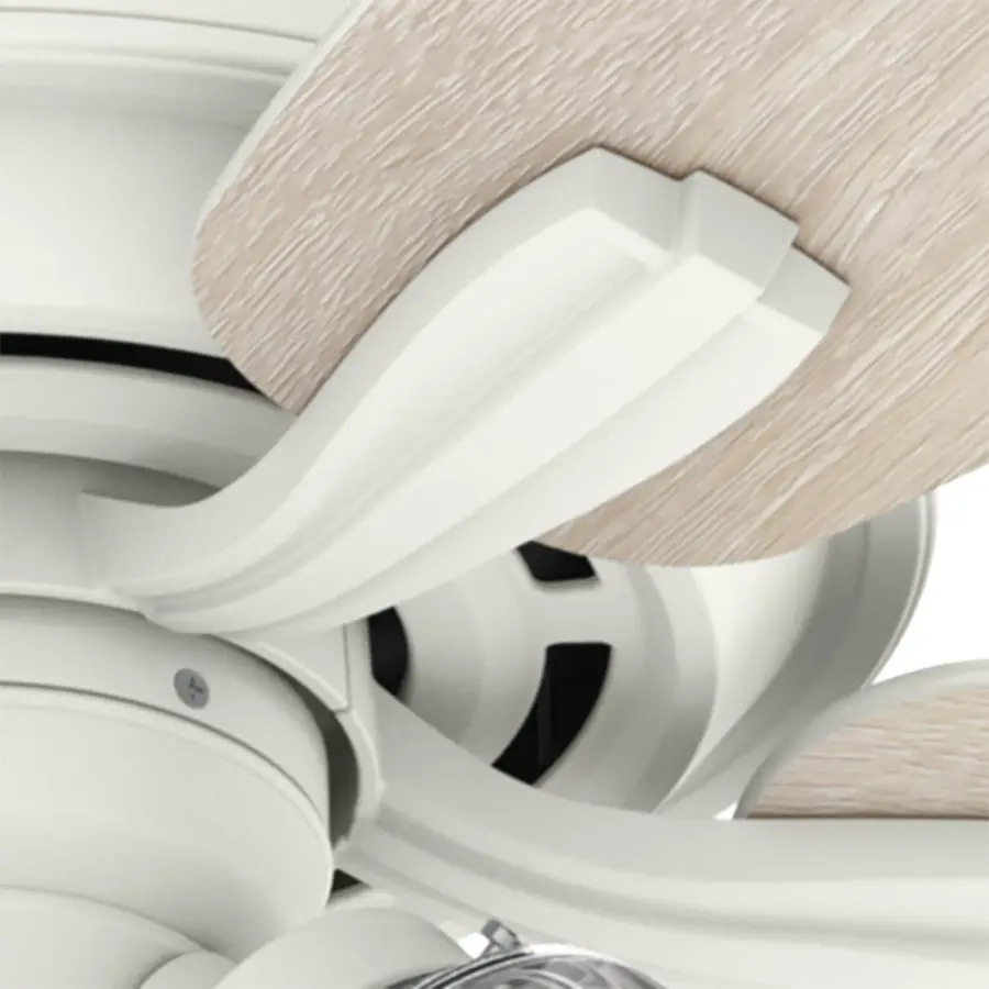 Dondra with 3 Lights 60 inch - Image 37