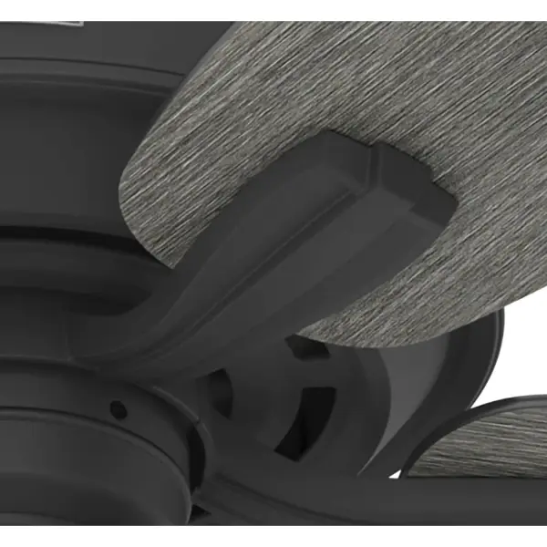 Dondra with 3 Lights 60 inch - Image 38