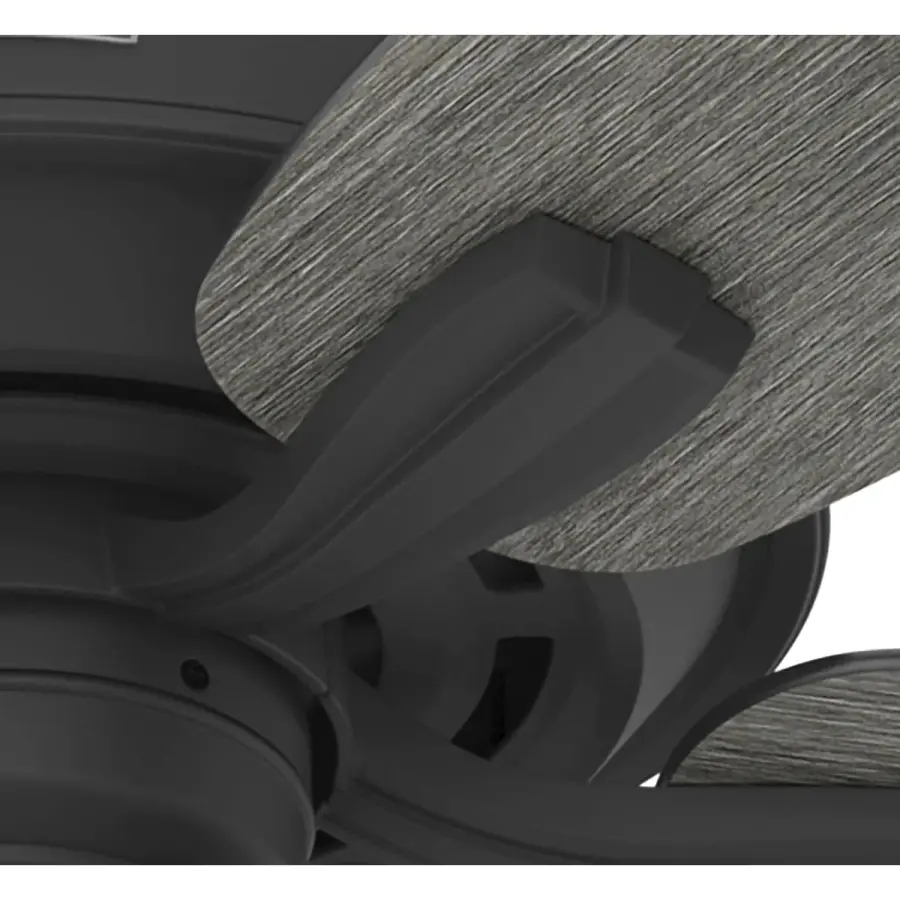 Dondra with 3 Lights 60 inch - Image 38