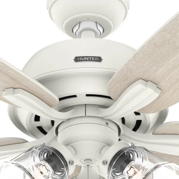 Dondra with 3 Lights 60 inch - Image 41