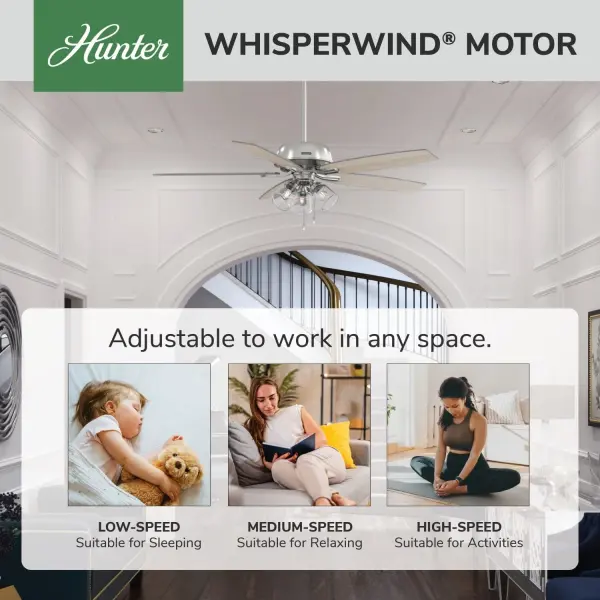 Dondra with 3 Lights 60 inch - Image 51