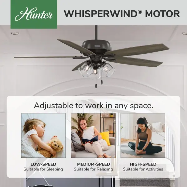 Dondra with 3 Lights 60 inch - Image 52