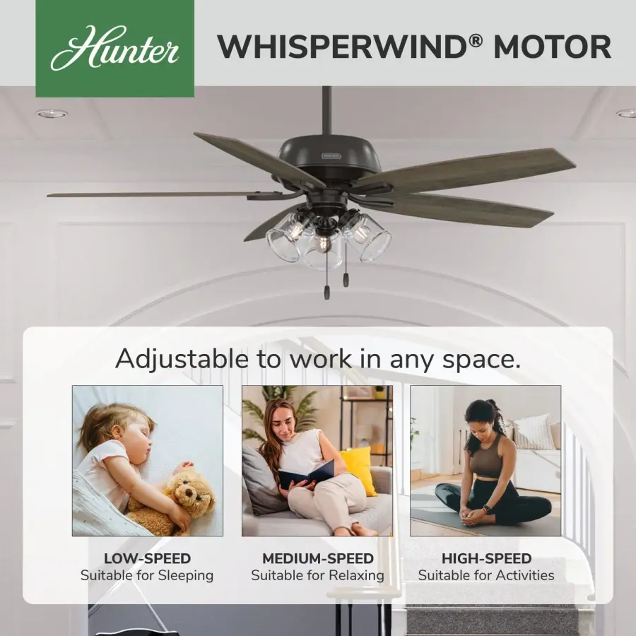 Dondra with 3 Lights 60 inch - Image 52