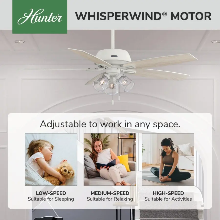 Dondra with 3 Lights 60 inch - Image 53