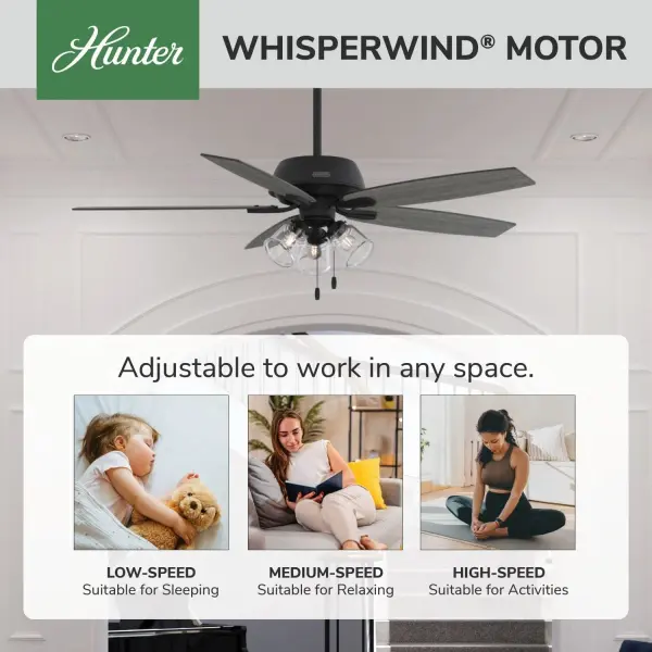 Dondra with 3 Lights 60 inch - Image 54