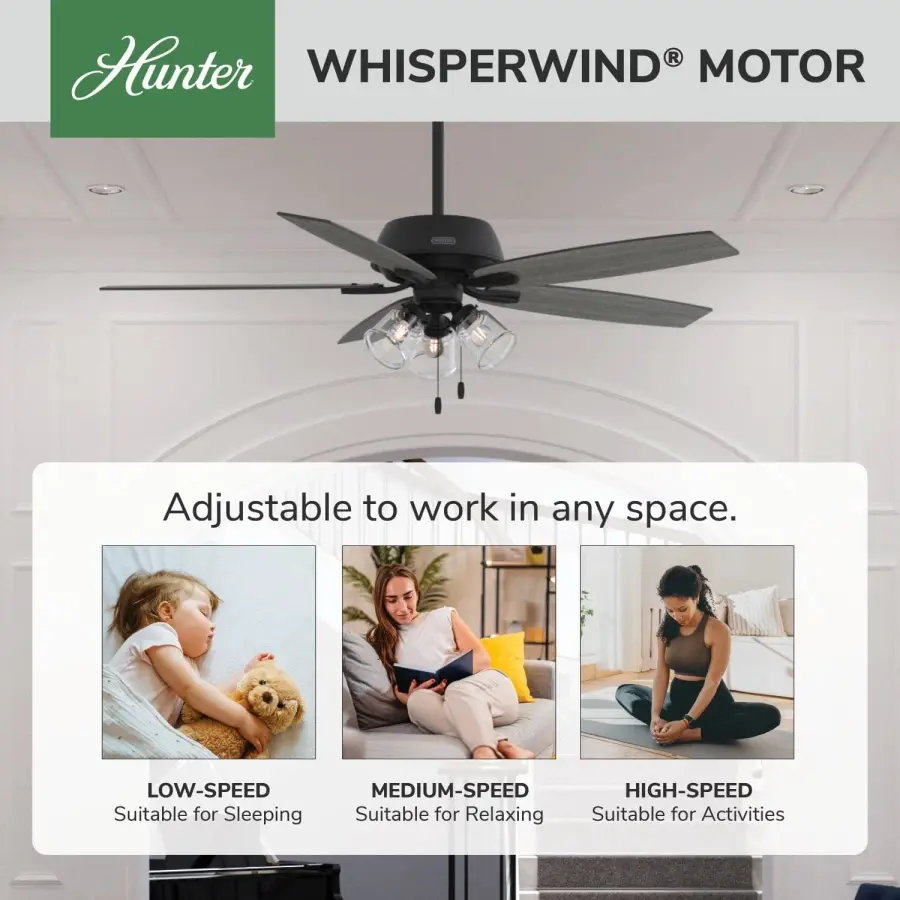 Dondra with 3 Lights 60 inch - Image 54