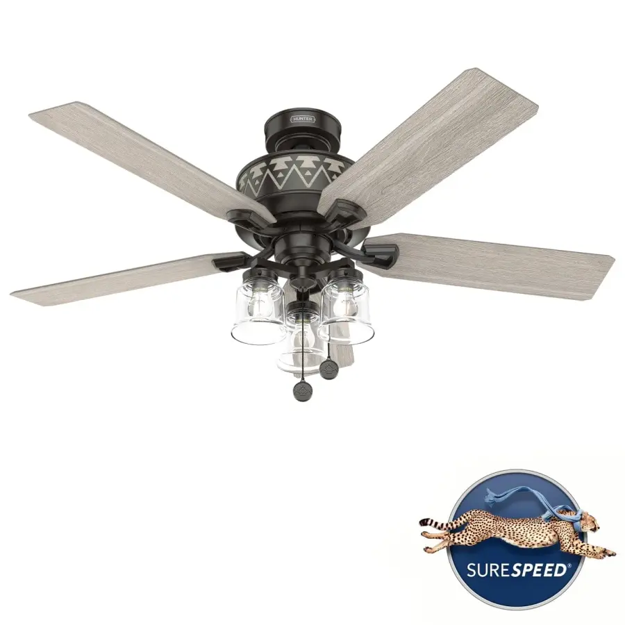 The Ceiling Fans by Hunter - Image 15