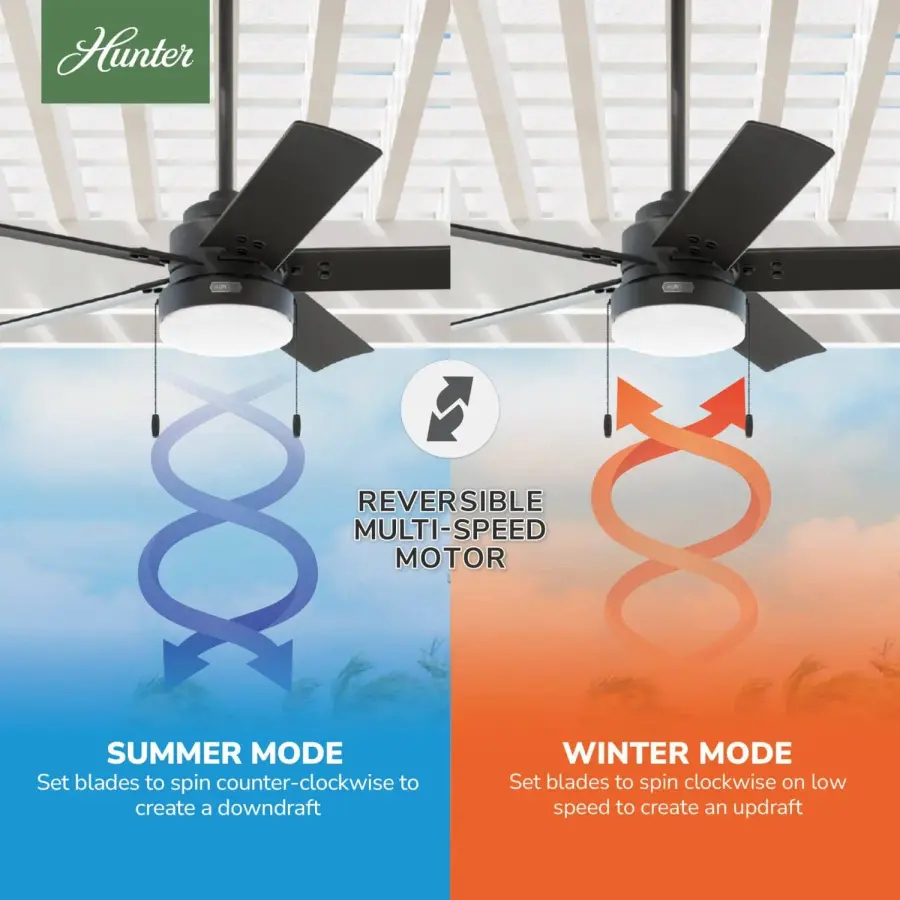 The Ceiling Fans by Hunter - Image 13