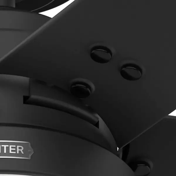 The Ceiling Fans by Hunter - Image 21