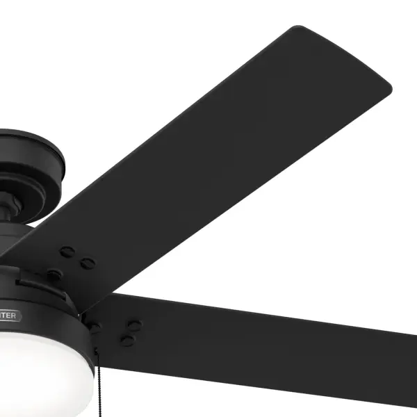 The Ceiling Fans by Hunter - Image 27