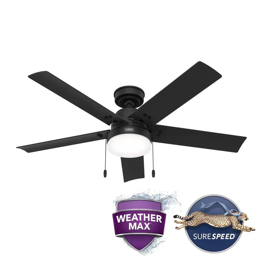 The Ceiling Fans by Hunter - Image 29
