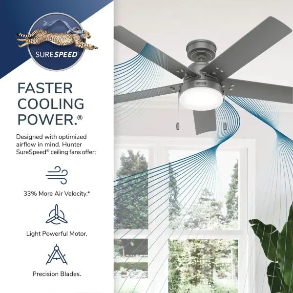 The Ceiling Fans by Hunter - Image 31